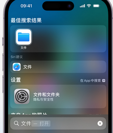 大观apple维修中心分享iPhone文件应用中存储和找到下载文件 