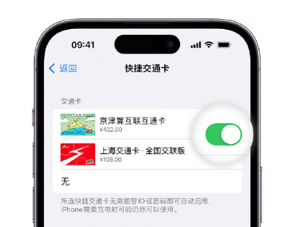 大观apple维修点分享iPhone上更换Apple Pay快捷交通卡手绘卡面 