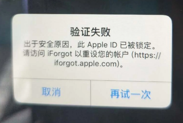 大观iPhone维修分享iPhone上正常登录或使用AppleID怎么办 