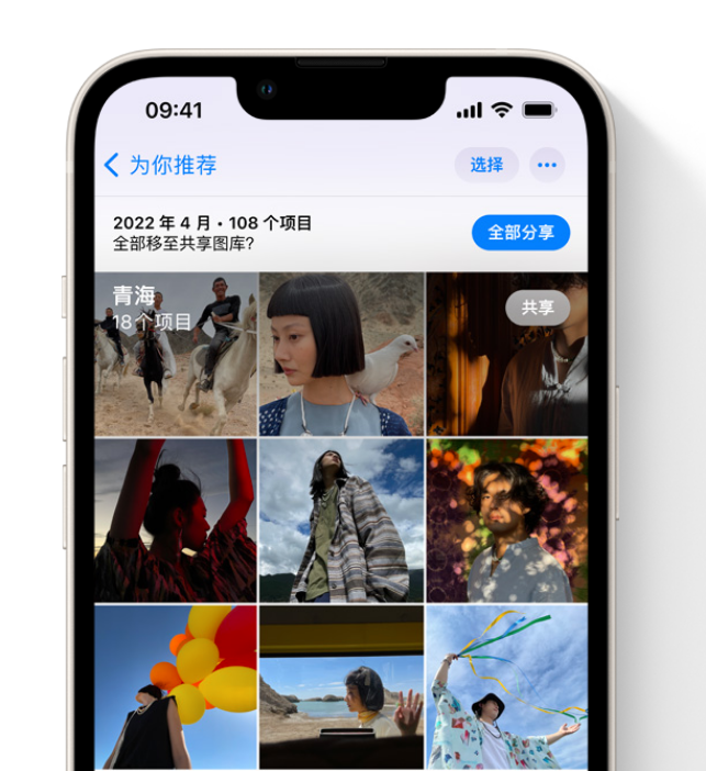 大观苹果维修网点分享在 iPhone 上使用共享图库 