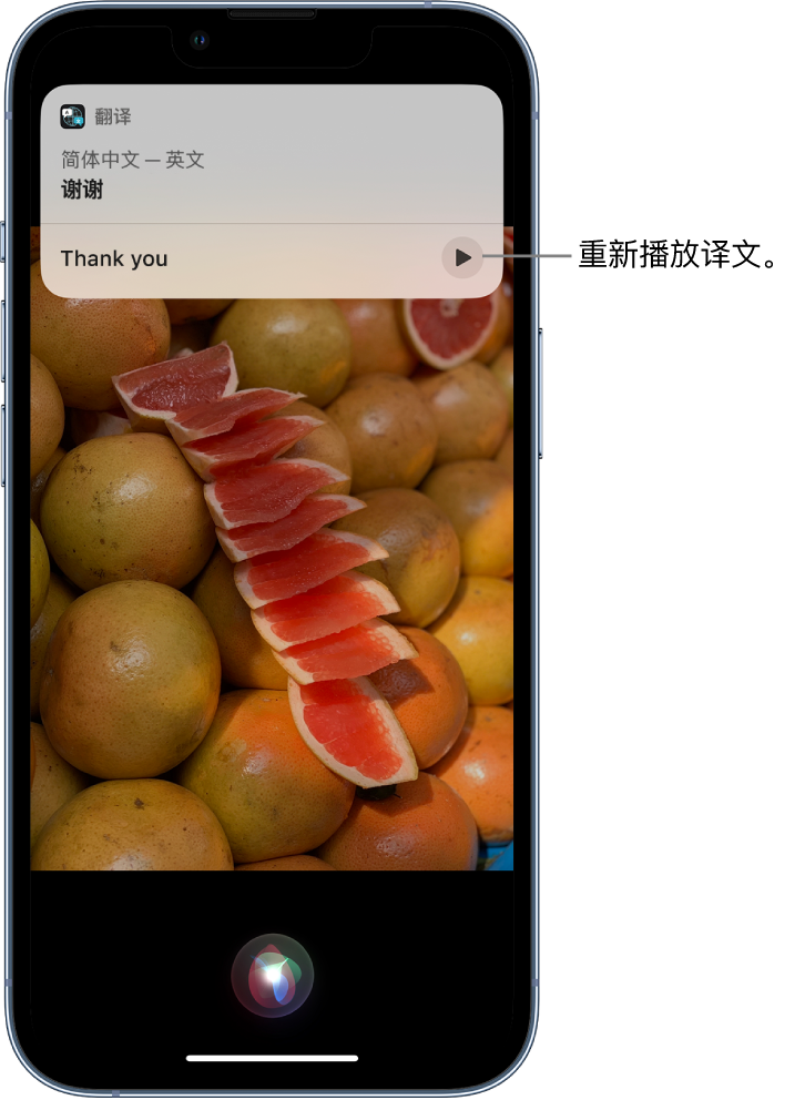 大观苹果14维修分享 iPhone 14 机型中使用 Siri：了解 Siri 能帮你做什么 