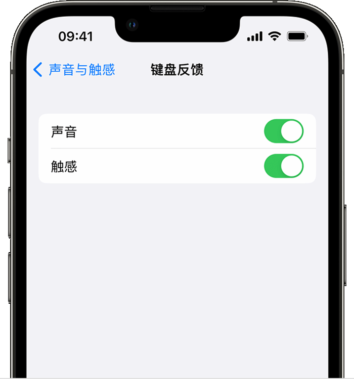 大观苹果14维修分享iPhone 14 系列机型如何开启键盘声音或触感反馈 
