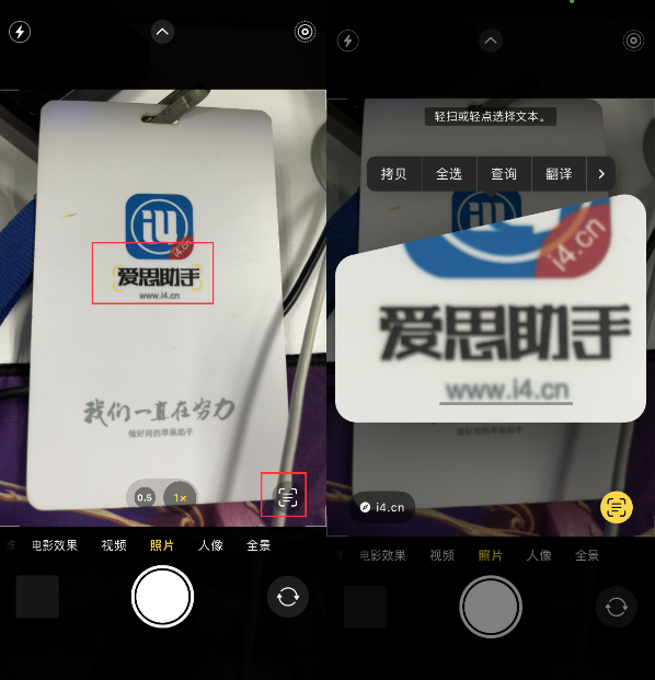 大观苹果手机维修分享升级iOS 16后如何通过相机翻译文本 