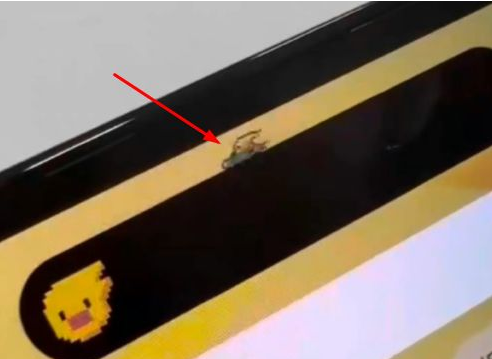 大观苹果14维修分享iPhone 14 Pro Max灵动岛怎么养宠物 