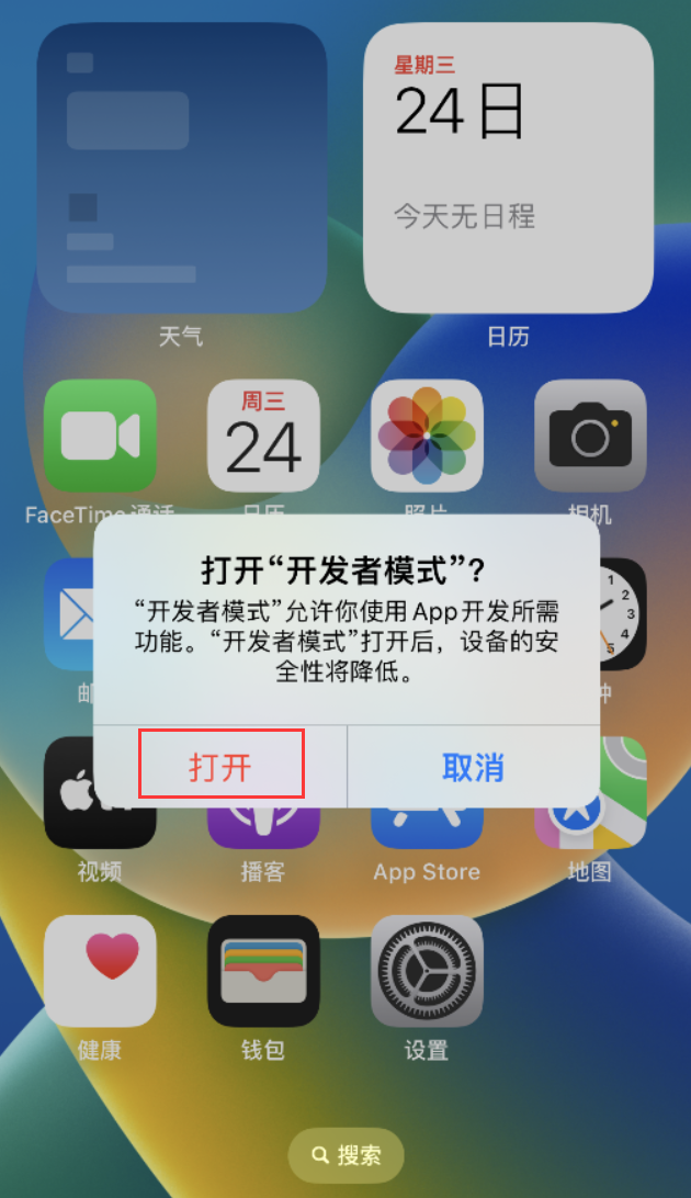 大观苹果手机维修分享如何打开开发者模式 