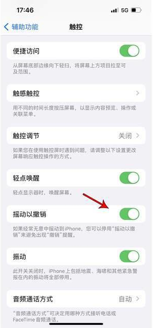 大观苹果手机维修分享iPhone手机如何设置摇一摇删除文字 