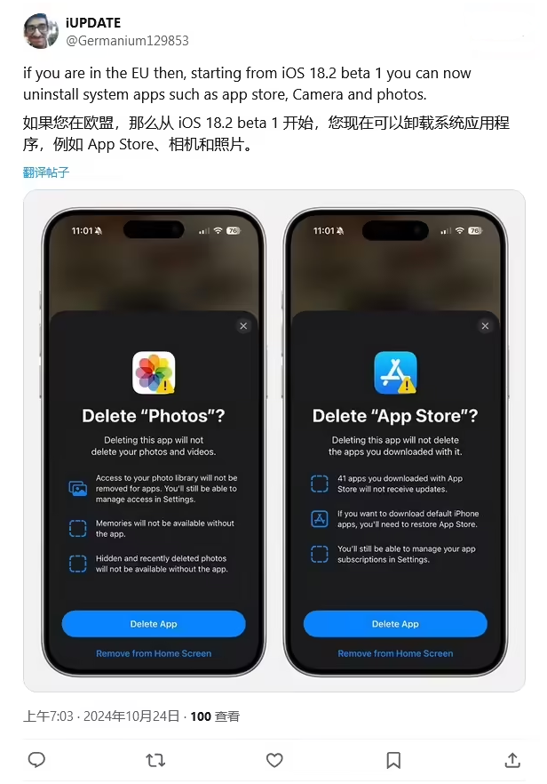 大观苹果手机维修分享iOS 18.2 支持删除 App Store 应用商店 