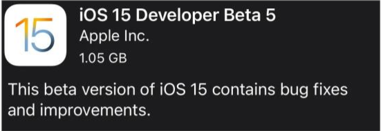 大观苹果手机维修分享如何升级到iOS15.0 beta5 