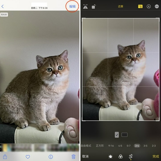 大观苹果手机维修分享苹果 iPhone 12 Pro 拍照会过度锐化 