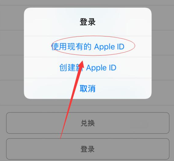 大观苹果手机维修分享两台iPhone设备可以同时登录一个Apple ID吗 