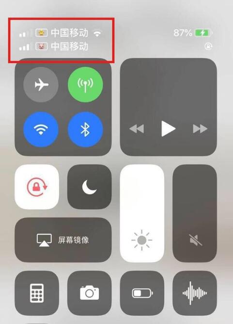 大观苹果手机维修分享为 iPhone 12 双卡设置标签 
