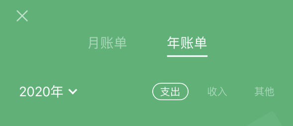 大观苹果手机维修分享如何在 iPhone 上查看支付宝和微信年支出账单 